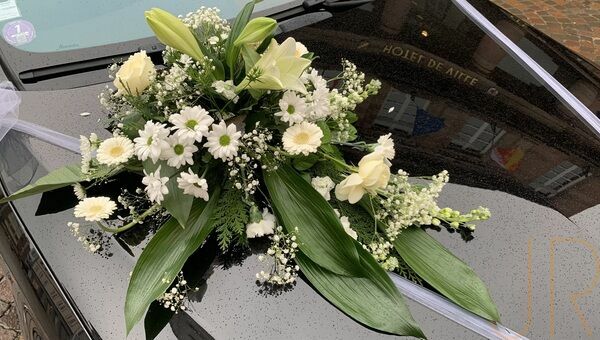 8f6db94d 5ae5 4308 9880 3fe687df21e4 m