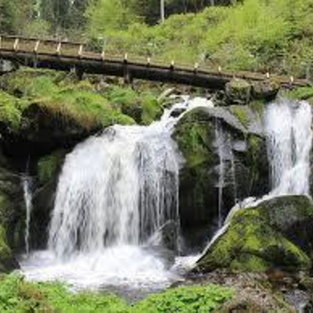 Cascades de Triberg Forêt-Noire
